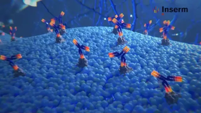 Film d'animation 3D — INSERM