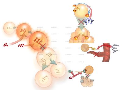 Science & Vie, Cancer et chimiothérapie